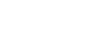 Lexus Logo