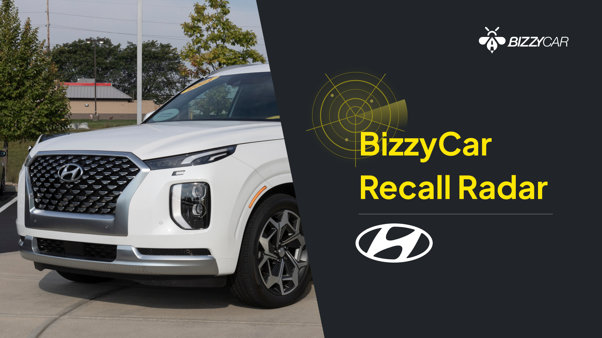 Hyundai March 2026 Fatal Palisade Recall